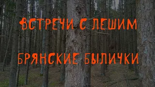 🌲 Жуткие встречи в лесу | Лешие | В. Д. Глебов | Брянские былички | 141–150