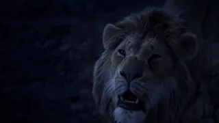 Lion King 2019 - Circle of life [Reprise] (Serbian) Subs & Trans