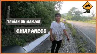 COMO SE PREPARA EL ZATS (Clip) | San Fernando, Chiapas