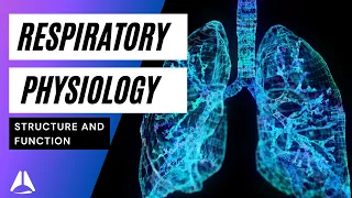 Respiratory physiology lecture 1 - structure and anatomy of lungs and diaphragm - Part 1 anaesthesia