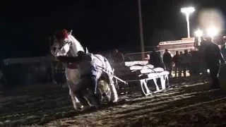 Тодоровден в село Калугерово част 5 - 28.02.2015 год.