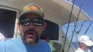 White Marlin Open 2017, fighting a blue marlin on the Mollie K