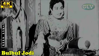 Bulbul Jodi Song | Sivaji Ganesan | P. Bhanumathi | Rani Lalithangi | HD Song