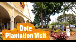 Dole Plantation Visit