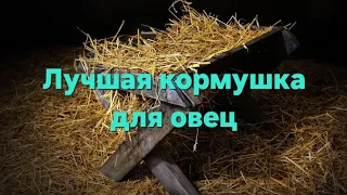 Выбираю лучшую кормушку для овец. Для начинающих овцеводов