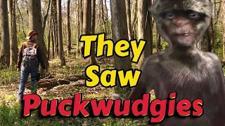 The Puckwudgies of Algonquin Folklore