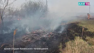 С 20 июня на территории Каменского района установлен особый противопожарный режим