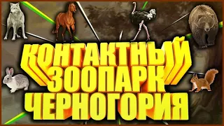 Отдых с детьми. Контактный зоопарк в Черногории 25 05 2020