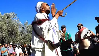 Danse Alaoui 153 رقص العلاوي Mohamed Sehala محمد سهالة