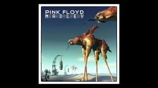 Pink Floyd - MADley Mix by Nufonic