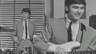 The Merseybeats -  I Think of You (TV, April 1964)