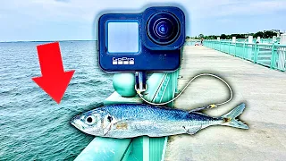 Dropped GoPro with BAIT at Fishing Pier and THINGS GO CRAZY!