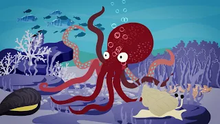 Ciclo de vida del pulpo