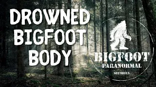 Horrifying Discovery Of Drowned BIGFOOT Body | SASQUATCH ENCOUNTERS