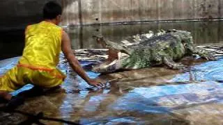 Crazy man put his head into a croc's mouth