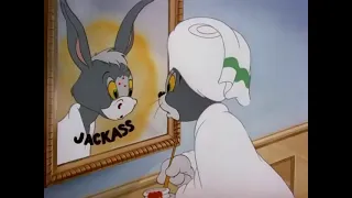 Tom & Jerry (Jackass compilation)