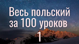 Весь польский за 100 уроков. Польские слова и фразы. Польский с нуля. Польский язык. Часть 1