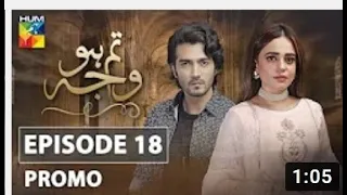 Tum Ho Wajah Episode 18 Promo HUM TV Drama