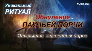 РИТУАЛ🔥 Обнуление ПАУЧЬЕЙ ПОРЧИ⚡⚡Открытие дорог различных сфер жизни