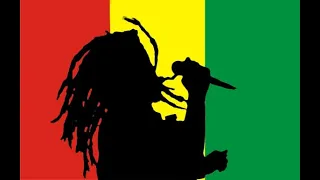The Reggae Selection (Mandis Megamix)