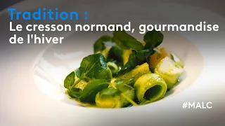 Tradition : le cresson normand, gourmandise de l'hiver