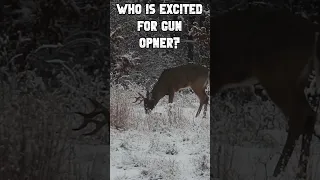 Rifle Hunting North Michigan Whitetails! -Heart Shot #deerhunt #hunting #deerhunter