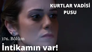 Seninde alınacak intikamın var! - Kurtlar Vadisi Pusu 176. Bölüm