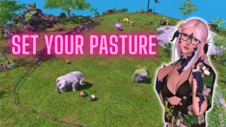 Island Sanctuary Pasture Guide FFXIV