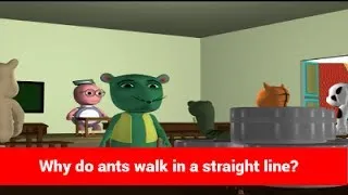 Kids Most Asked Questions - Why Do Ants Walk In A Straight Line