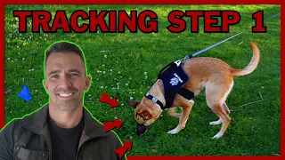 The First Step to Teach Your Dog Competitive Tracking