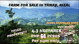 (PROPERTY#74) PHP 64 PER SQM ONLY - TANAY RIZAL WITH BATIS - TITLED !!!