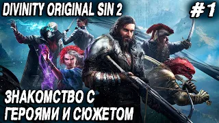 Divinity Original Sin 2 Definitive Edition - прохождение. Создание героя и знакомство с сюжетом #1