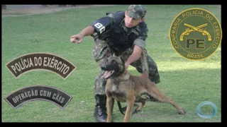 7ºBPE - Batalhão de Polícia do Exército /Cães de Guerra - Manaus/AM