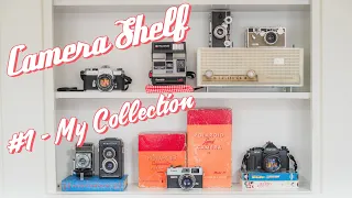 My Entire Film Camera Collection (#1 Camera Shelf) (Pentax, Nikon, Canon, Argus, Polaroid)