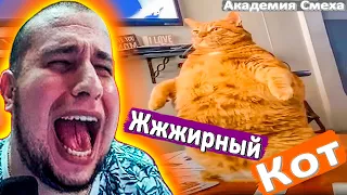 МАНУРИН СМОТРИТ АКАДЕМИЯ СМЕХА ЛУЧШИЕ ПРИКОЛЫ - WATCH THE MANYRIN РЕАКЦИЯ #реакция #reaction