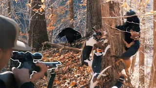 CRAZY BEAR HUNT! UNREAL FOOTAGE!! - Bear Hunting with Hounds