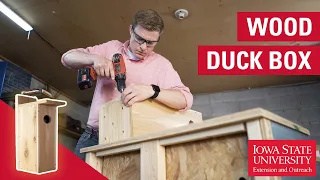 How to Build a Wood Duck Box
