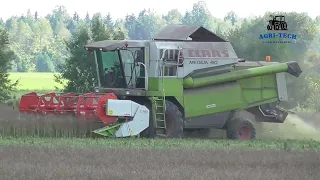 Black Gold Farming | Harvesting Oilseeds with Claas