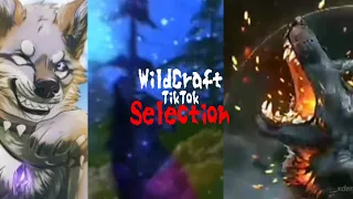 WildCraft TikTok Compliation [MikoSnow Wolf]