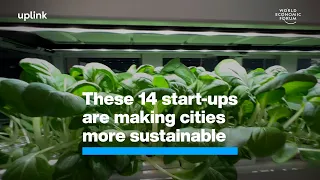 These 14 start ups are making cities more sustainable