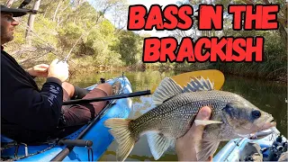 Bass Season Opener '23 (EP.02) | Middle of the day, targeting shaded edges