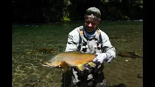 The search for 'dry fly heaven' - Fly fishing New Zealand.