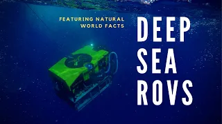 Robots in the Deep
