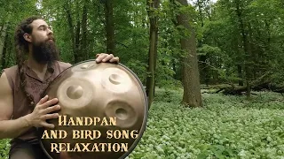 Relaxation with Handpan and Bird Song Harmony | Rust one