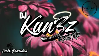 DJ KAN3Z X Mc Bruninho - Melhor momento [ZOUK EXCLU]