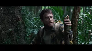 Radcliffe's 'Jungle' endurance