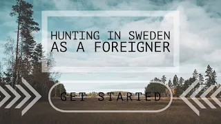 HUNTING IN SWEDEN -  as a foreigner