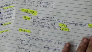 acute and chronic cholecystitis easy explanation pathology