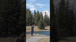 Man Runs From Bear in Picturesque Banff