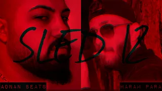 ADNAN BEATS feat. HARAM PARA - SLED 12 (Official Audio)